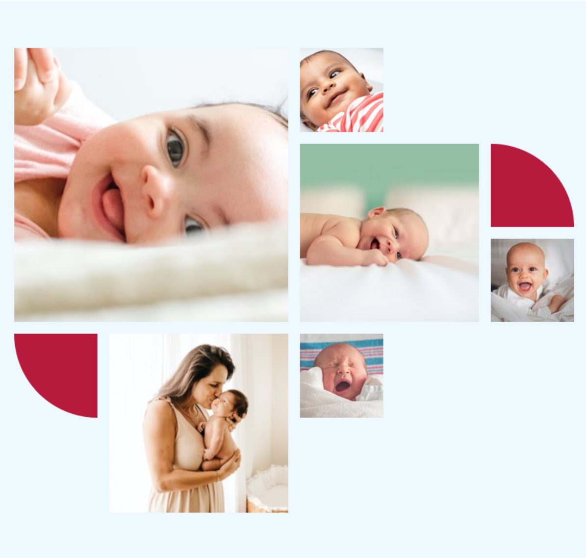 Bildschirmfoto einer grafischen Aufarbeitung für die Babygalerie mit Fotos verschiedener Neugeborener